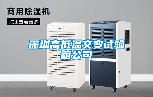 深圳高低溫交變試驗箱公司