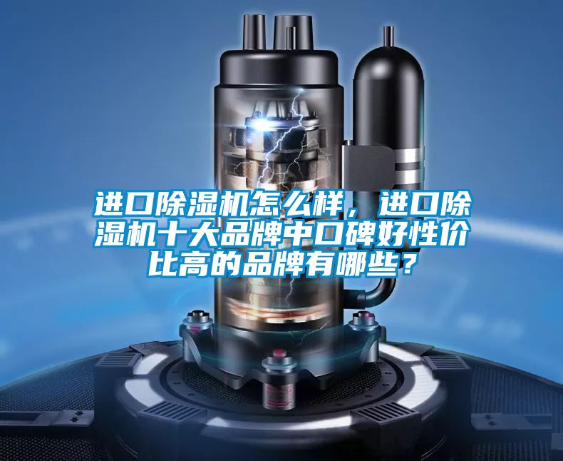 進口除濕機怎么樣，進口除濕機十大品牌中口碑好性價比高的品牌有哪些？