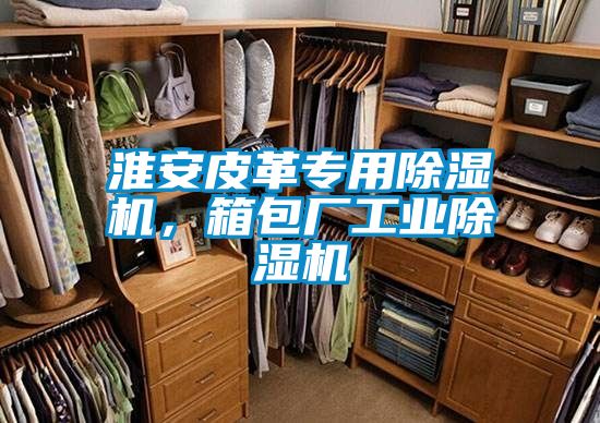 淮安皮革專用除濕機，箱包廠工業除濕機