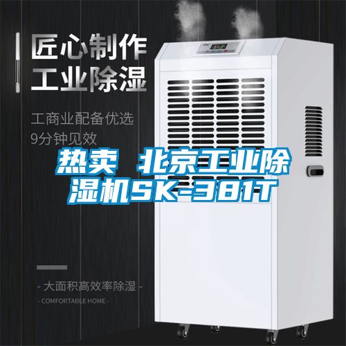 熱賣 北京工業(yè)除濕機(jī)SK-381T