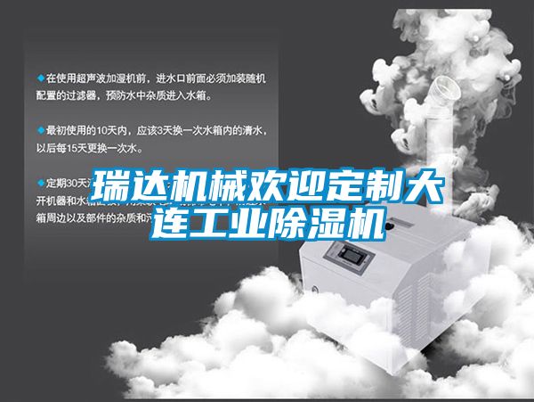 瑞達機械歡迎定制大連工業除濕機