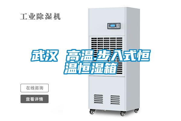 武漢 高溫.步入式恒溫恒濕箱