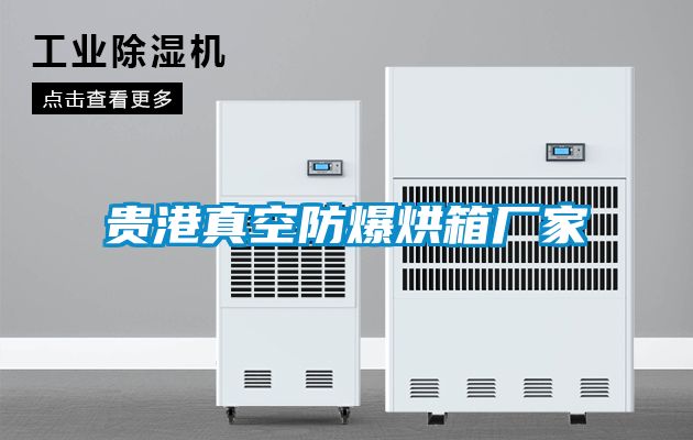 貴港真空防爆烘箱廠家