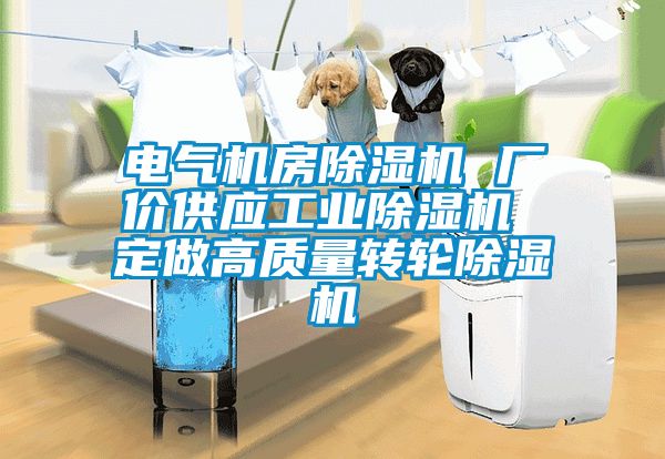 電氣機房除濕機 廠價供應工業除濕機 定做高質量轉輪除濕機