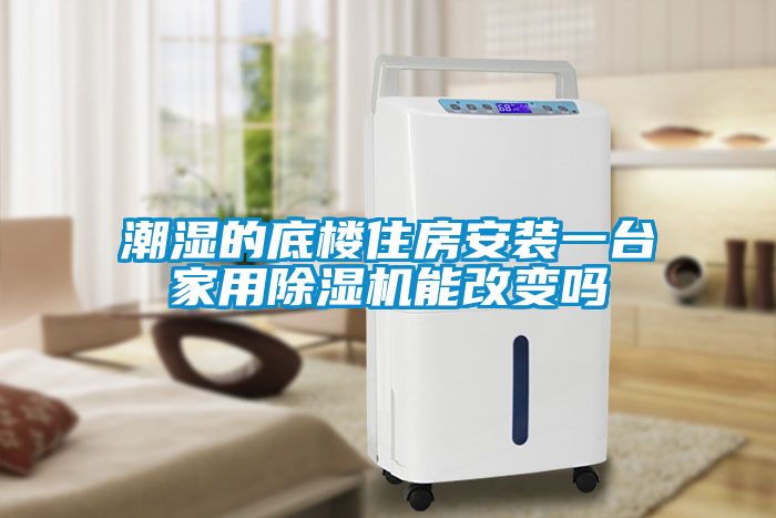 潮濕的底樓住房安裝一臺家用除濕機能改變嗎
