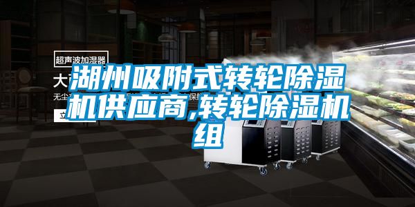 湖州吸附式轉輪除濕機供應商,轉輪除濕機組