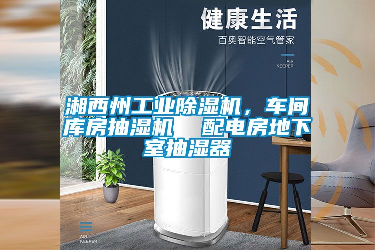 湘西州工業(yè)除濕機(jī)，車間庫房抽濕機(jī)  配電房地下室抽濕器
