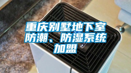 重慶別墅地下室防潮、防濕系統加盟
