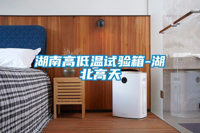 湖南高低溫試驗(yàn)箱-湖北高天