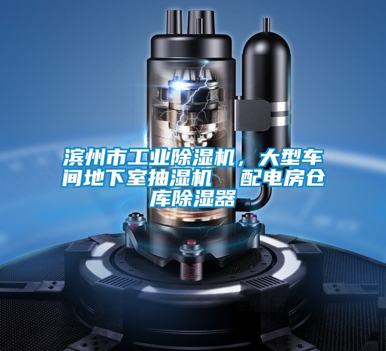 濱州市工業(yè)除濕機(jī)，大型車(chē)間地下室抽濕機(jī)  配電房倉(cāng)庫(kù)除濕器