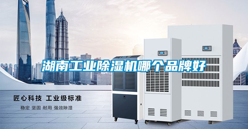 湖南工業除濕機哪個品牌好