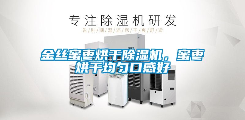 金絲蜜棗烘干除濕機，蜜棗烘干均勻口感好