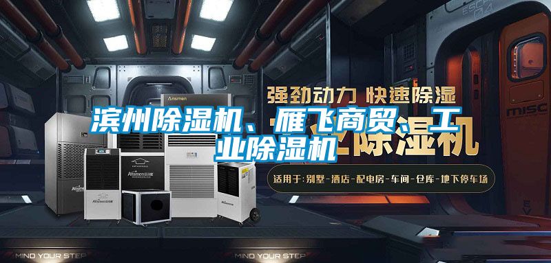 濱州除濕機、雁飛商貿、工業除濕機