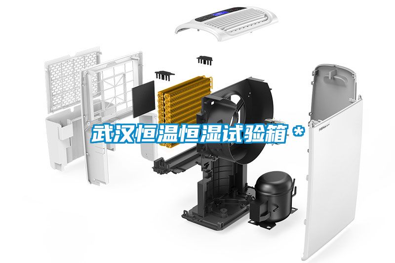 武漢恒溫恒濕試驗(yàn)箱＊