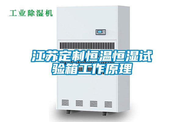 江蘇定制恒溫恒濕試驗箱工作原理