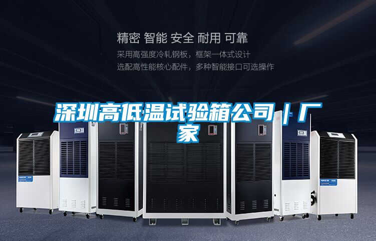 深圳高低溫試驗箱公司｜廠家