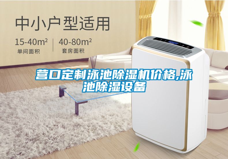 營口定制泳池除濕機(jī)價(jià)格,泳池除濕設(shè)備