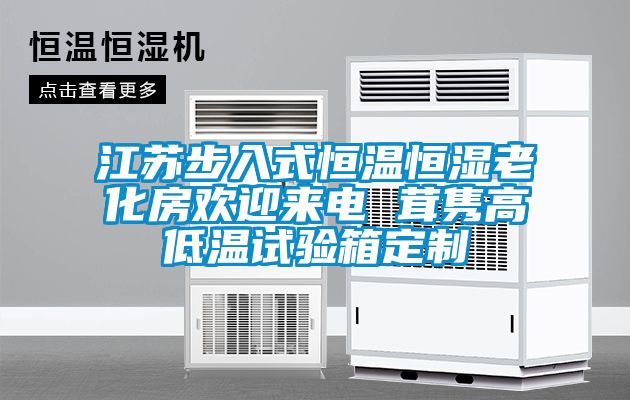 江蘇步入式恒溫恒濕老化房歡迎來(lái)電 茸雋高低溫試驗(yàn)箱定制
