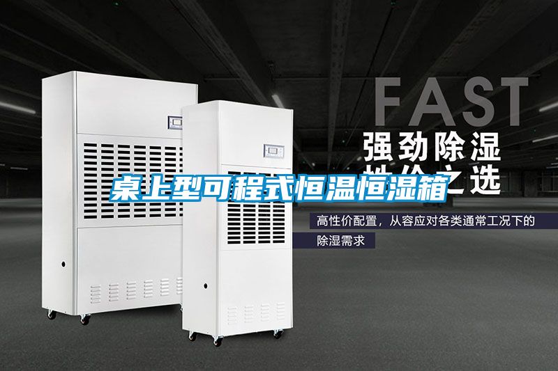 桌上型可程式恒溫恒濕箱