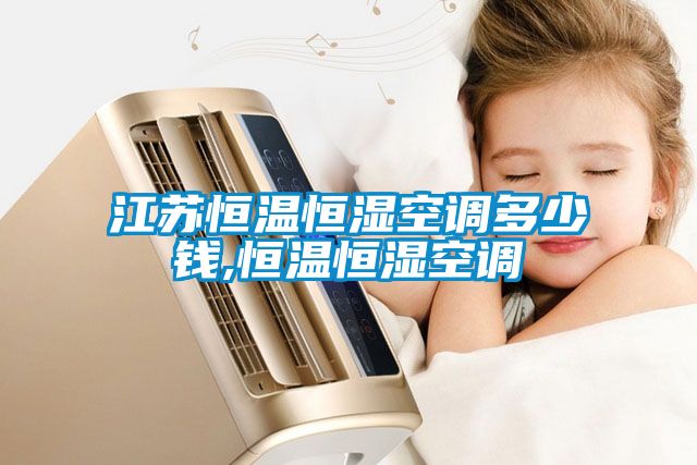 江蘇恒溫恒濕空調多少錢,恒溫恒濕空調