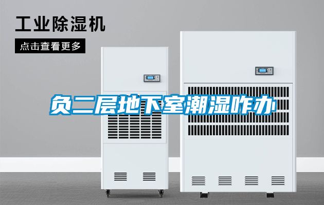 負二層地下室潮濕咋辦