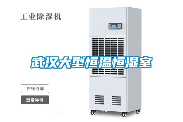 武漢大型恒溫恒濕室