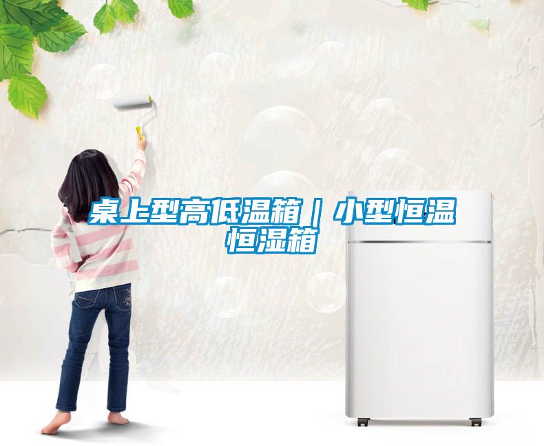 桌上型高低溫箱｜小型恒溫恒濕箱
