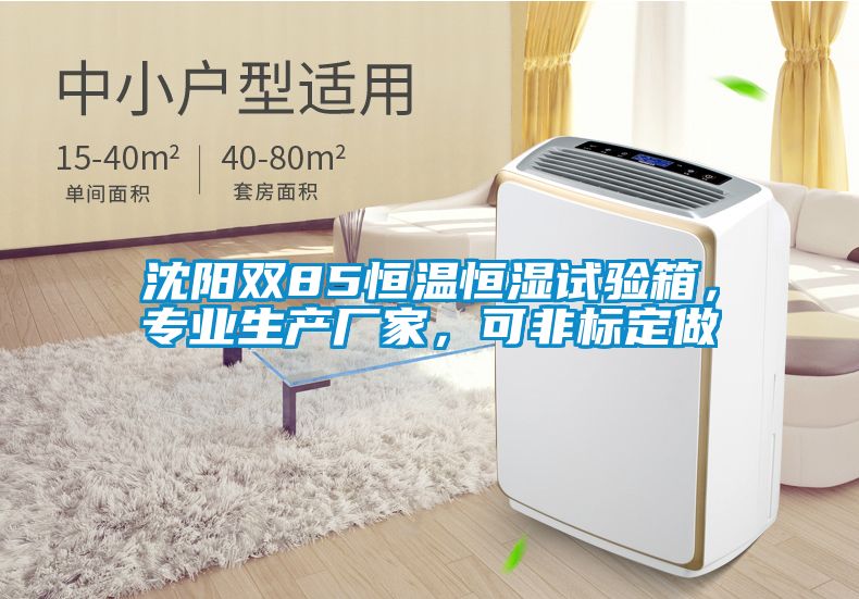沈陽雙85恒溫恒濕試驗箱，專業生產廠家，可非標定做