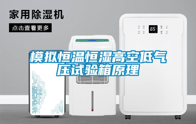 模擬恒溫恒濕高空低氣壓試驗箱原理