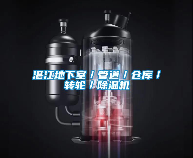 湛江地下室／管道／倉庫／轉(zhuǎn)輪／除濕機