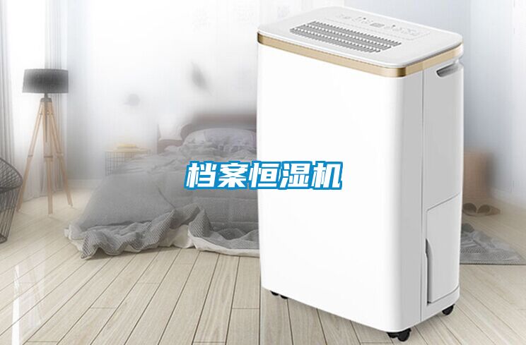 檔案恒濕機(jī)