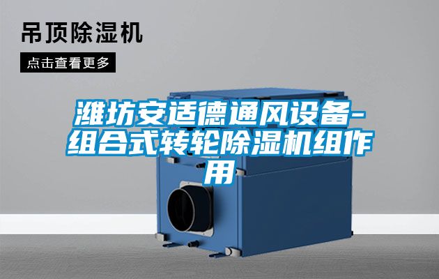 濰坊安適德通風(fēng)設(shè)備-組合式轉(zhuǎn)輪除濕機組作用