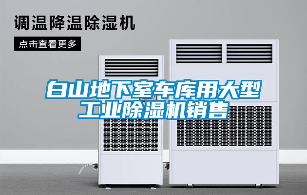 白山地下室車(chē)庫(kù)用大型工業(yè)除濕機(jī)銷(xiāo)售