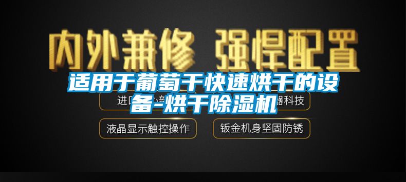 適用于葡萄干快速烘干的設備-烘干除濕機