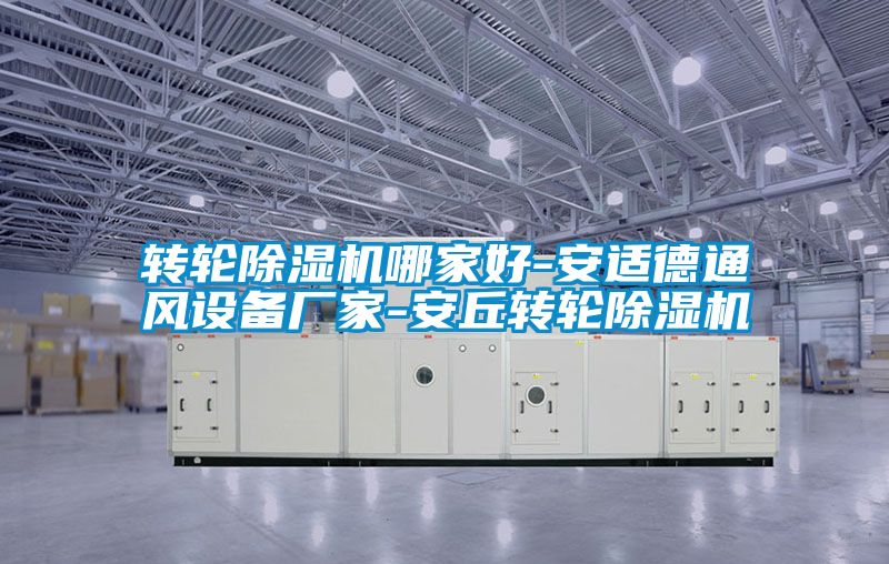 轉輪除濕機哪家好-安適德通風設備廠家-安丘轉輪除濕機