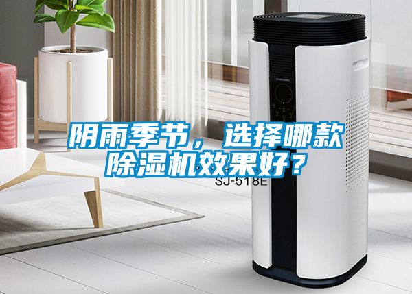 陰雨季節，選擇哪款除濕機效果好？