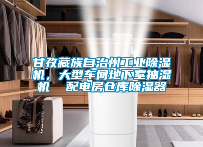 甘孜藏族自治州工業除濕機，大型車間地下室抽濕機  配電房倉庫除濕器