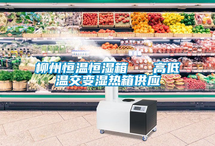 柳州恒溫恒濕箱   高低溫交變濕熱箱供應
