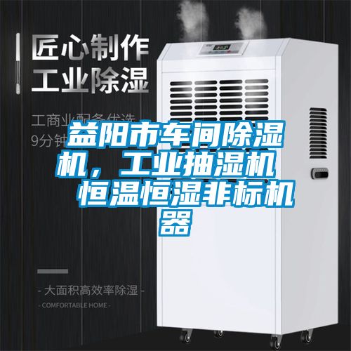 益陽(yáng)市車間除濕機(jī)，工業(yè)抽濕機(jī)  恒溫恒濕非標(biāo)機(jī)器