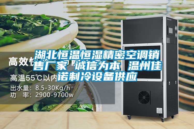 湖北恒溫恒濕精密空調(diào)銷(xiāo)售廠家 誠(chéng)信為本 溫州佳諾制冷設(shè)備供應(yīng)
