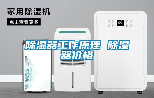 除濕器工作原理 除濕器價格