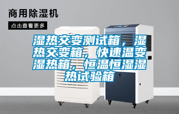 濕熱交變測試箱，濕熱交變箱，快速溫變濕熱箱，恒溫恒濕濕熱試驗箱