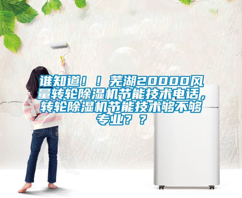誰知道！！蕪湖20000風(fēng)量轉(zhuǎn)輪除濕機(jī)節(jié)能技術(shù)電話，轉(zhuǎn)輪除濕機(jī)節(jié)能技術(shù)夠不夠?qū)I(yè)？？