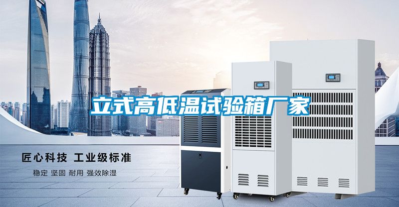 立式高低溫試驗箱廠家