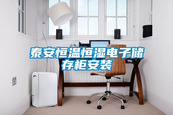 泰安恒溫恒濕電子儲存柜安裝