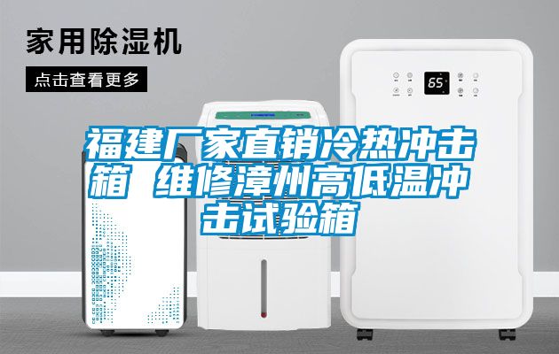 福建廠家直銷冷熱沖擊箱 維修漳州高低溫沖擊試驗箱