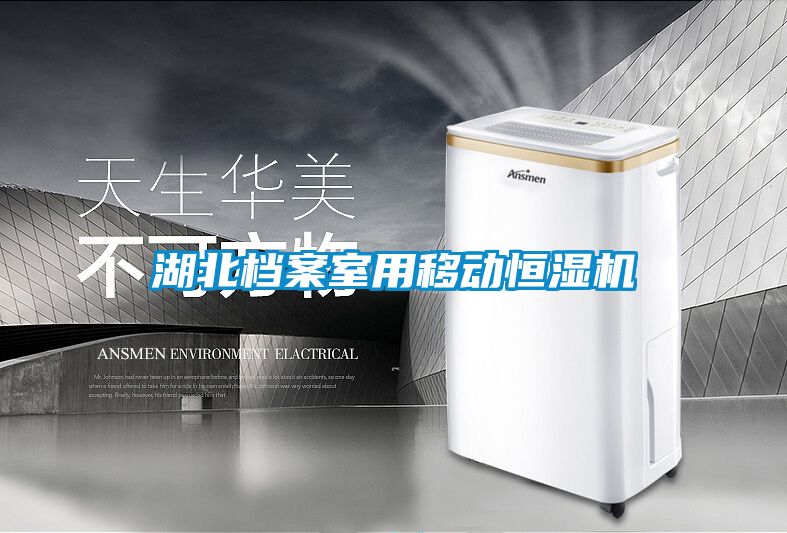 湖北檔案室用移動恒濕機