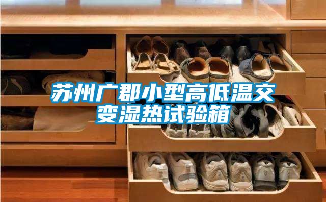 蘇州廣郡小型高低溫交變濕熱試驗箱