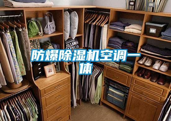 防爆除濕機(jī)空調(diào)一體
