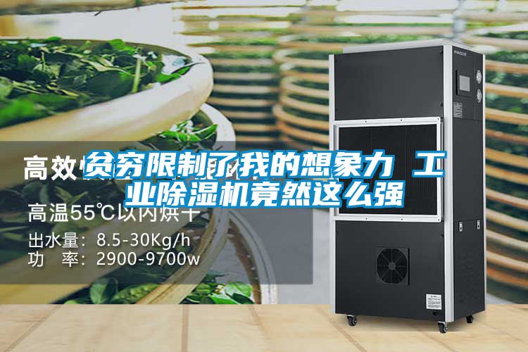 貧窮限制了我的想象力 工業除濕機竟然這么強